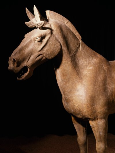 Terracottaleger paard, Mausoleum van Keizer Qin Shi Huang, 3e eeuw v.Chr. (foto) door Chinese School