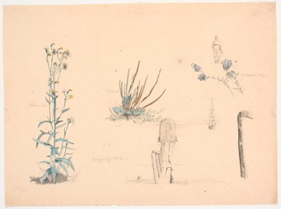 Plantstudies. Een badhuisbrug en een schip door Christen Dalsgaard