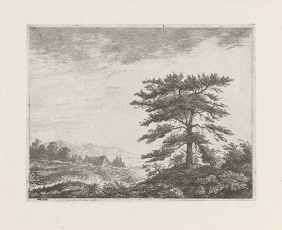 Boom in een heidelandschap door Christiaan Wilhelmus Moorrees
