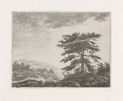 Boom in een heidelandschap door Christiaan Wilhelmus Moorrees
