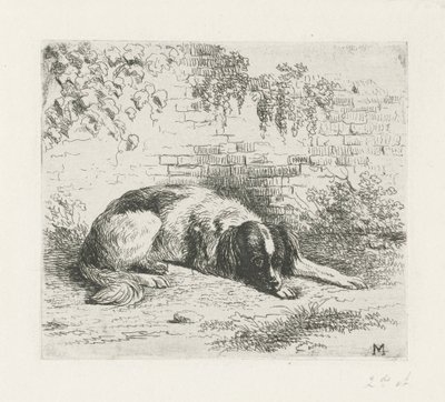 Liggende hond voor een muurtje door Christiaan Wilhelmus Moorrees