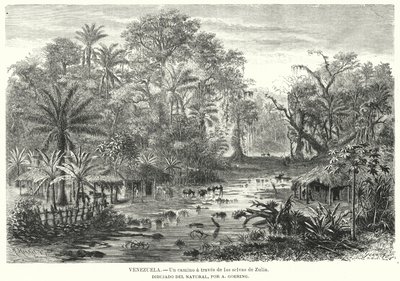 Pad door de jungles van Zulia, Venezuela door Christian Anton Goering