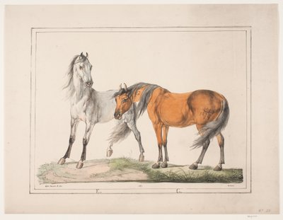 De paarden E & G door Christian David Gebauer