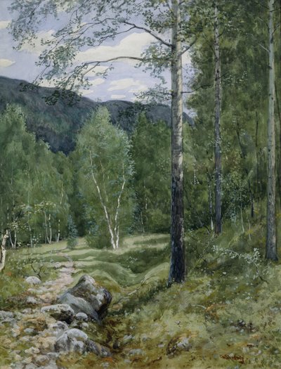 Lente in het bos door Christian Eriksen Skredsvig