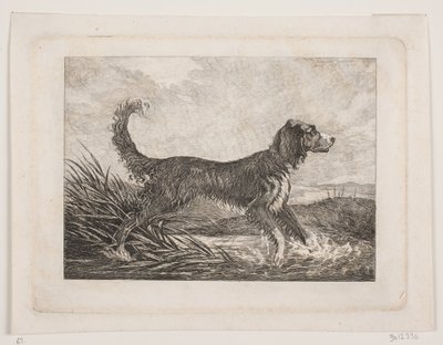 Een hond door Christian Holm