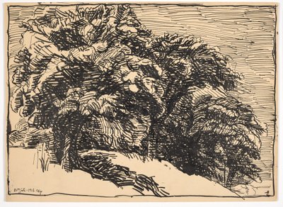 Eikenbomen op een oever door Christian Kongstad Petersen