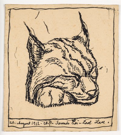 "Slapende lynx" door Christian Kongstad Petersen