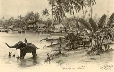 Een olifant wassen in de rivier, Colombo, Ceylon, 1898 door Christian Wilhelm Allers