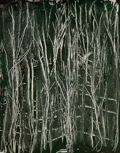  door Christina Misuro