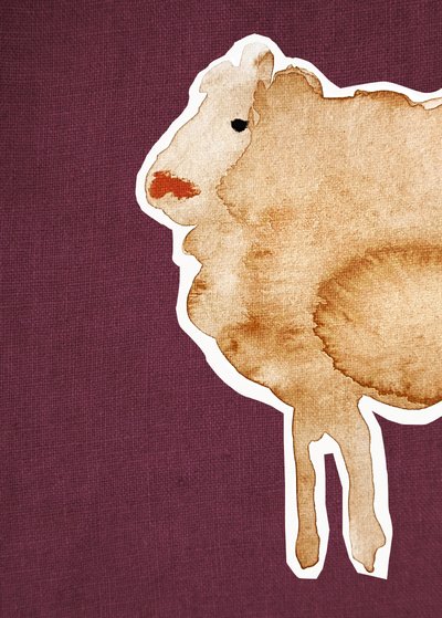 Schapen Maroon1 door Christina Misuro
