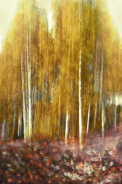  door Christina Sillen