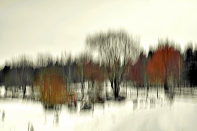 Samenvatting: Winterbos door Christina Sillen