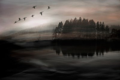 Vogels boven het mistige meer door Christina Sillen