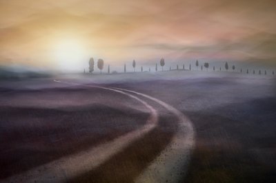 Een dromerige, mistige landweg door Christina Sillen