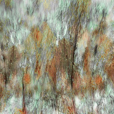  door Christina Sillen
