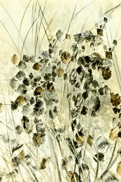 Etherische botanische vormen door Christina Sillen