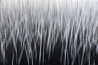 Etherische verticale lijnen door Christina Sillen