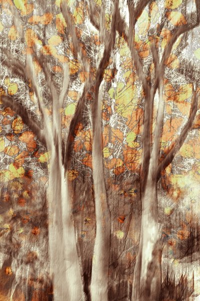 Gouden herfstbos door Christina Sillen