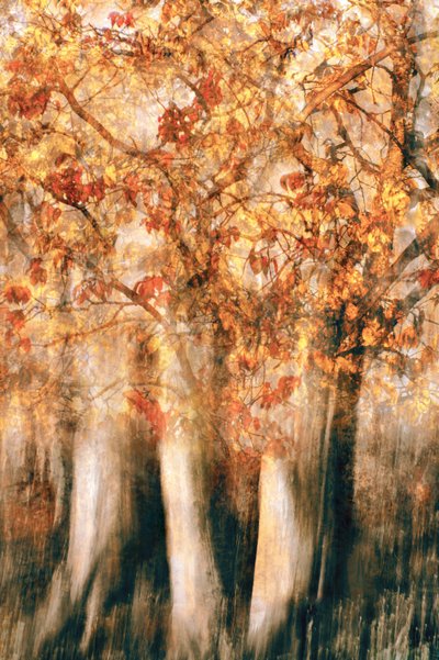  door Christina Sillen
