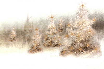 Betoverende winterbomen door Christina Sillen