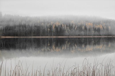 Mistig herfstmeer door Christina Sillen