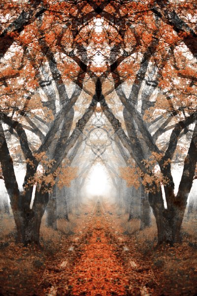Mistig herfstpad door Christina Sillen
