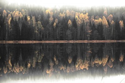 Mistige herfstweerspiegeling door Christina Sillen