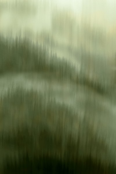 De rust van het mistige bos door Christina Sillen