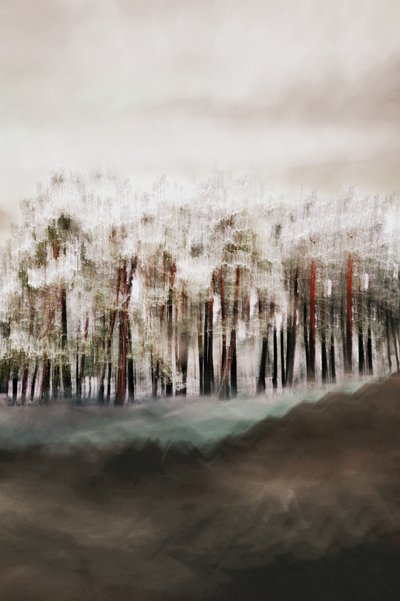 De rust van het mistige bos door Christina Sillen