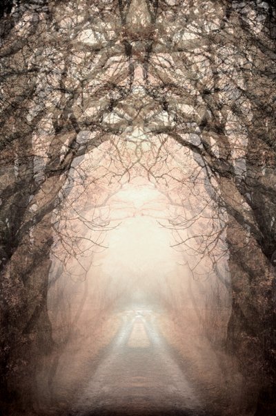  door Christina Sillen