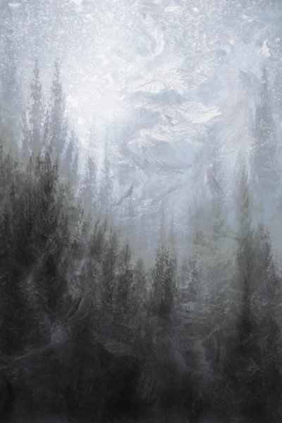 Mistig winterbos door Christina Sillen