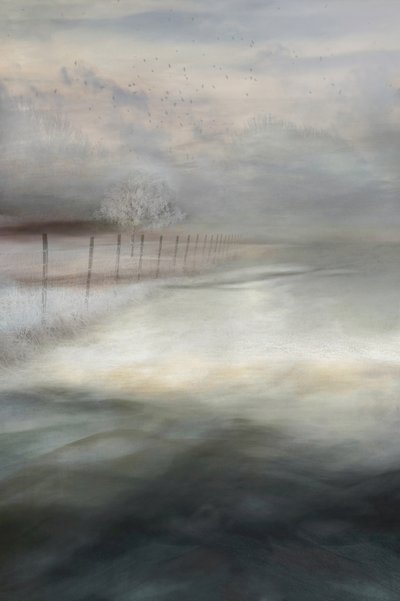 Mistig winterlandschap door Christina Sillen