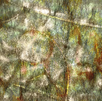 Organische abstracte stroming door Christina Sillen