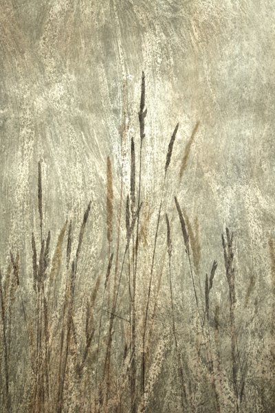  door Christina Sillen