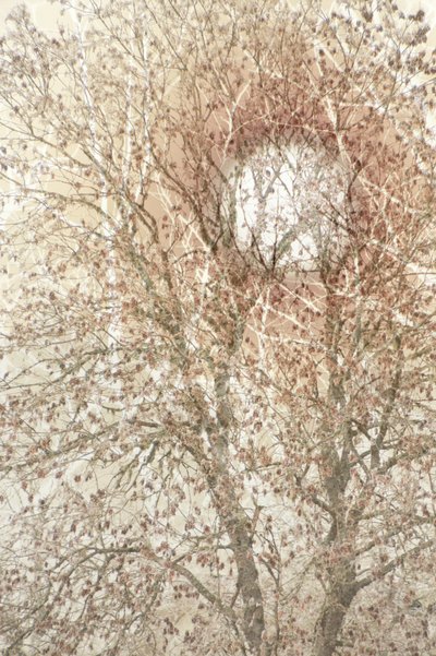  door Christina Sillen