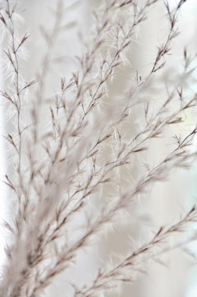 Zachte botanische rust door Christina Sillen