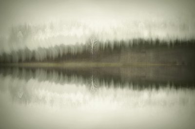  door Christina Sillen
