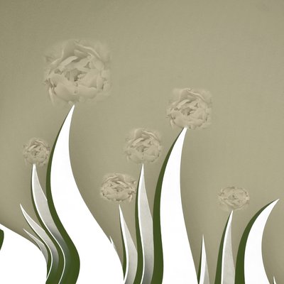Subtiele crèmekleurige bloesems door Christina Sillen