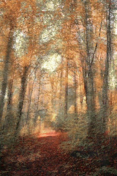  door Christina Sillen