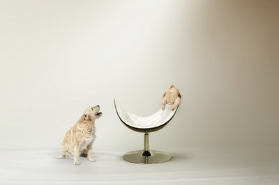 Het kipdilemma van de hond door Christine von Diepenbroek