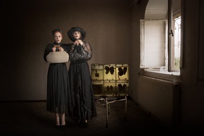 Gothic Women Vlindercollectie door Christine von Diepenbroek