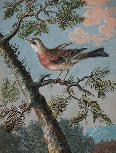 Zangvogel in een wintergroen door Christoph Ludwig Agricola