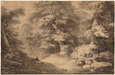 Een beukenbos met een rustende reiziger, 1803 door Christoph Nathe