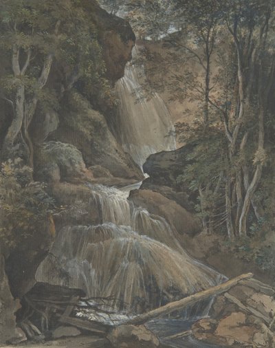 Een Waterval in een Bos bij Langhennersdorf door Christoph Nathe