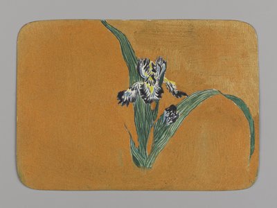 Iris door Christopher Grant La Farge