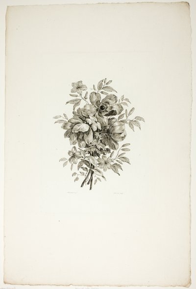 Boeket met klaprozen, uit een verzameling van verschillende boeketten bloemen, bedacht en getekend door Jean Pillement en gegraveerd door P. C. Canot door Christopher Norton