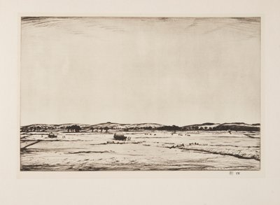 Sussex Downs door Christopher Richard Wynne Nevinson