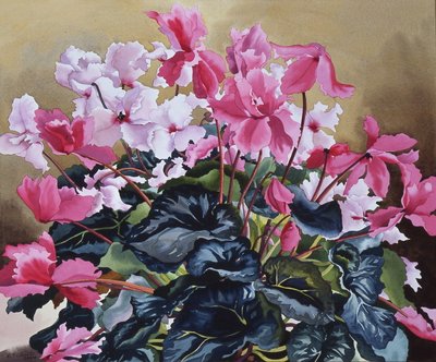 Cyclamen, 2004 door Christopher Ryland