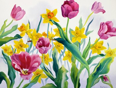 Narcissen en tulpen door Christopher Ryland