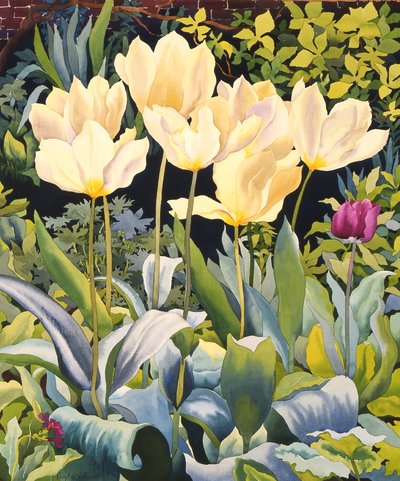 Bleke tulpen door Christopher Ryland